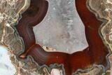 Polished Baker Ranch Thunderegg - New Mexico #146589-1